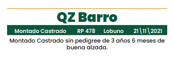 Lote LOTE 30