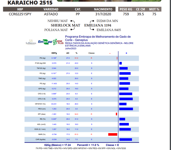 Lote LOTE 4