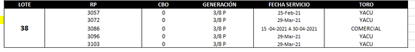 Lote Reproductores de Alborada - Lote 38