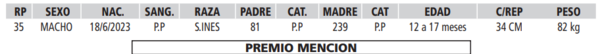 Lote LOTE 33