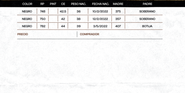 Lote "TRES MOLINOS"  TOROS  P.P.