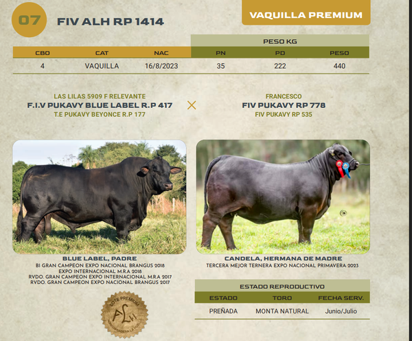 Lote LOTE 7