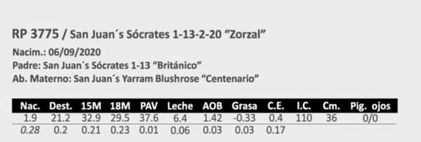 Lote Zorzal