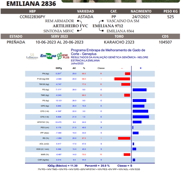Lote LOTE 53