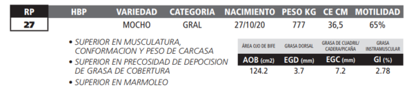 Lote LOTE 21