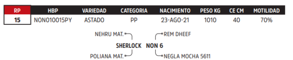 Lote LOTE 54