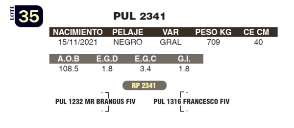 Lote LOTE 35