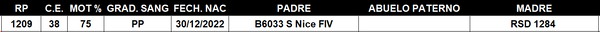 Lote LOTE 12