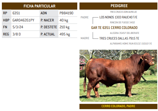 Lote LOTE 27