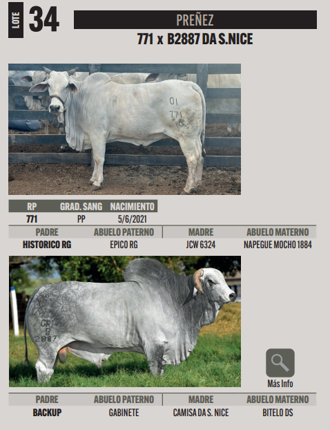 Lote LOTE 34