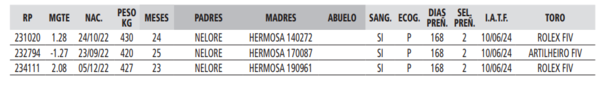 Lote LOTE 14