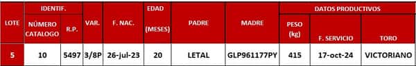 Lote LOTE 5