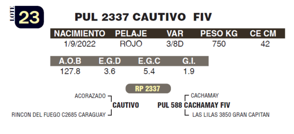 Lote LOTE 23