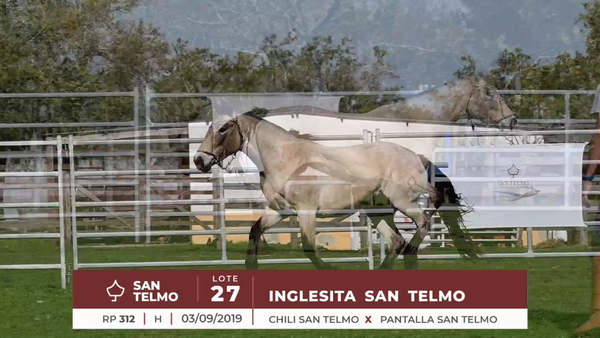 Lote INGLESITA SAN TELMO