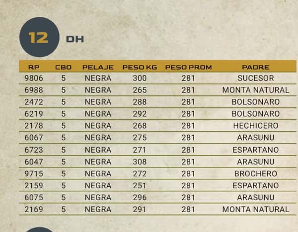 Lote LOTE 12