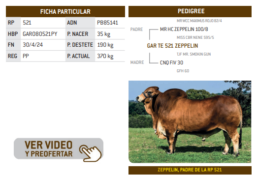 Lote LOTE 21