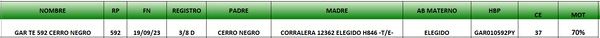 Lote LOTE 62