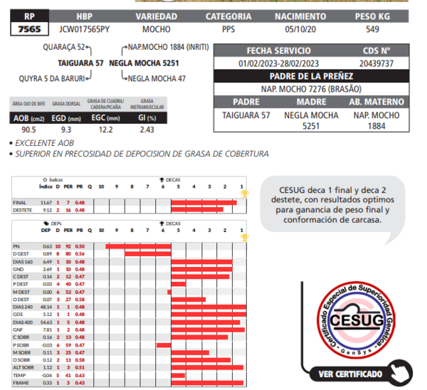 Lote LOTE 36