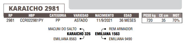 Lote LOTE 39