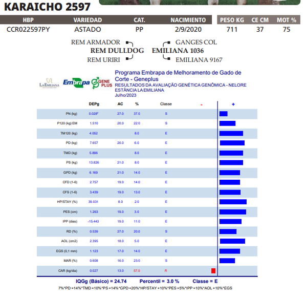 Lote LOTE 8