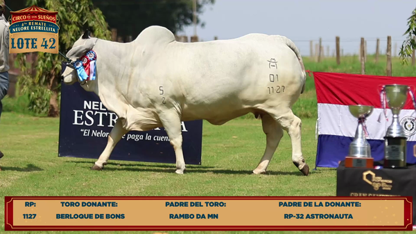 Lote LOTE 42