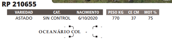 Lote LOTE 68
