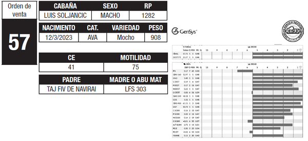 Lote LOTE 57
