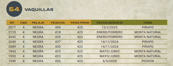 Lote LOTE 64