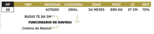 Lote LOTE 76