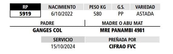 Lote LOTE 13