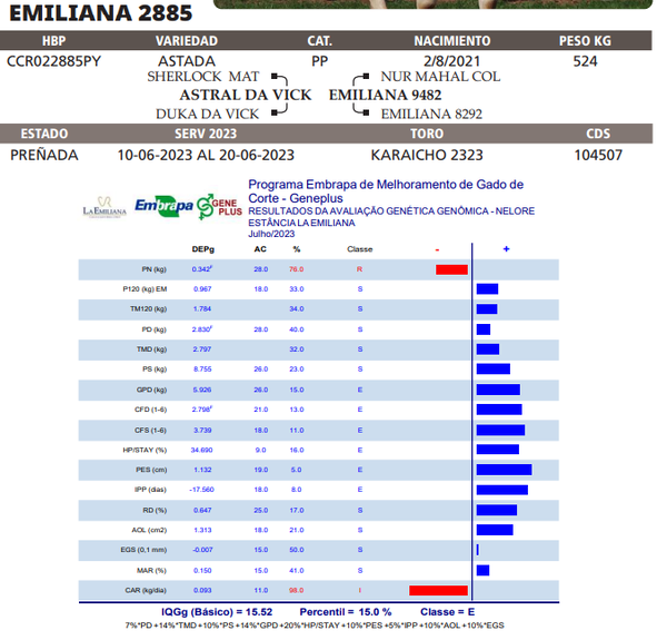 Lote LOTE 52