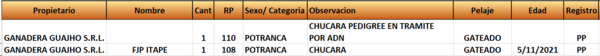 Lote LOTE 4- EN VIVO