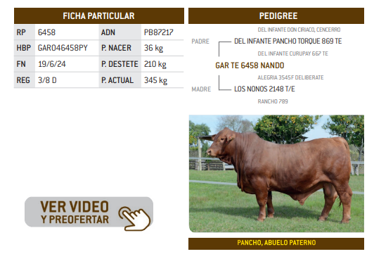 Lote LOTE 16