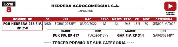 Lote LOTE 8