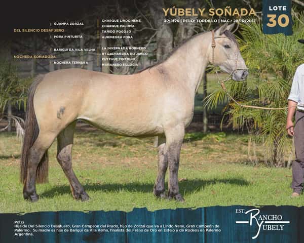 Lote Yubely Soñada