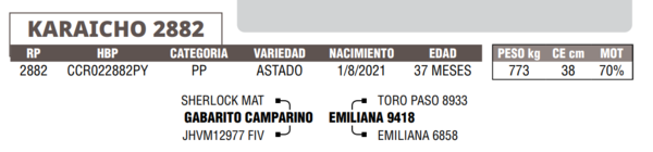 Lote LOTE 16