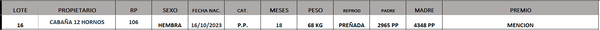 Lote LOTE 16