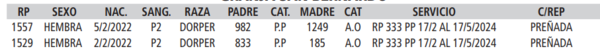 Lote LOTE 31