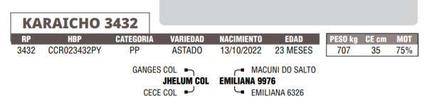 Lote LOTE 36