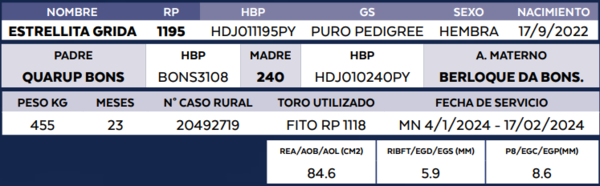 Lote LOTE 38