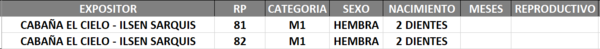 Lote LOTE 19