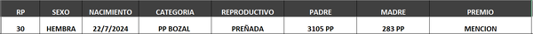 Lote LOTE 33- BOZAL
