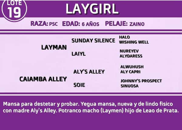 Lote LAYGIRL