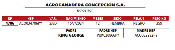 Lote LOTE 23