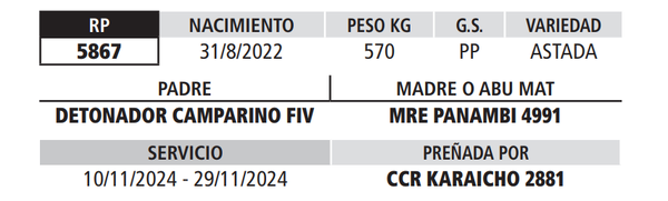 Lote LOTE 1