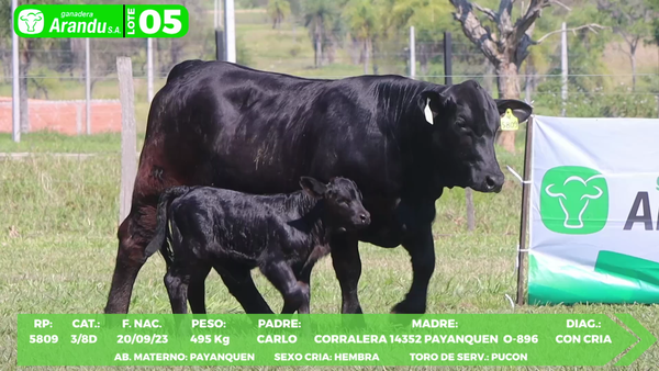 Lote LOTE 5