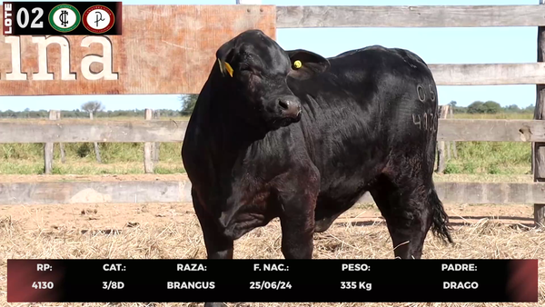 Lote LOTE 2