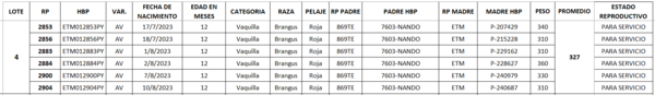 Lote LOTE 4