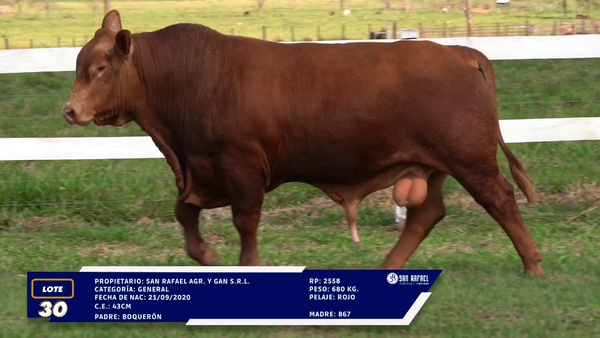Lote LOTE 30