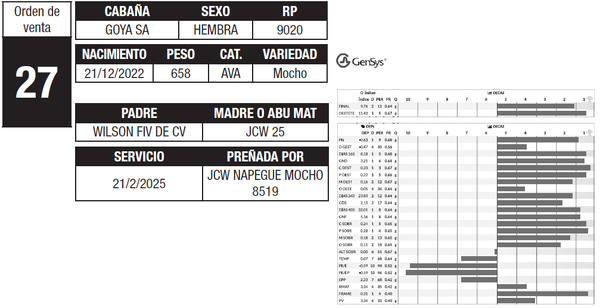 Lote LOTE 27